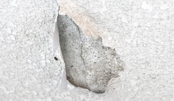 塗装の剥がれ・浮き